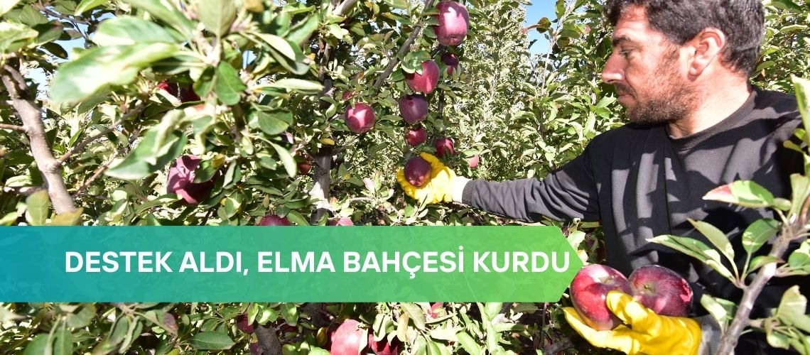 Destek aldı, elma bahçesi kurdu