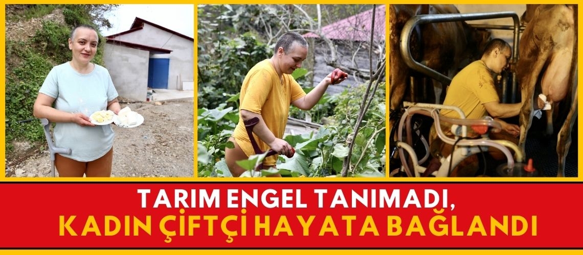 Tarım engel tanımadı, kadın çiftçi hayata bağlandı