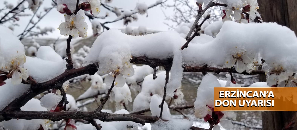 Erzincan’a don uyarısı