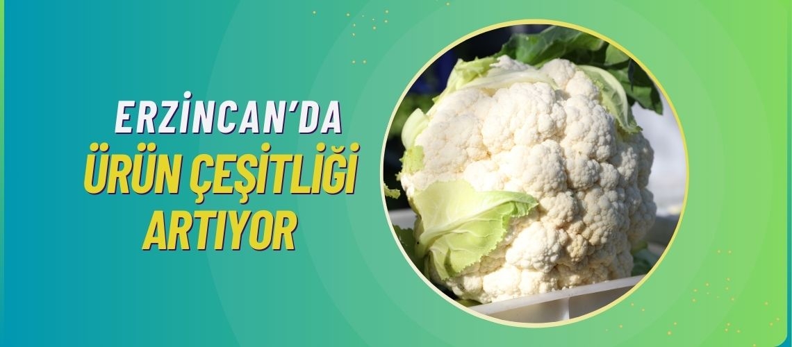 Erzincan’da ürün çeşitliği artıyor