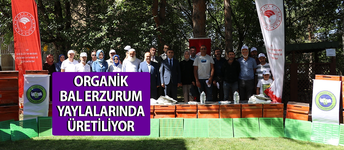 Organik bal Erzurum yaylalarında üretiliyor