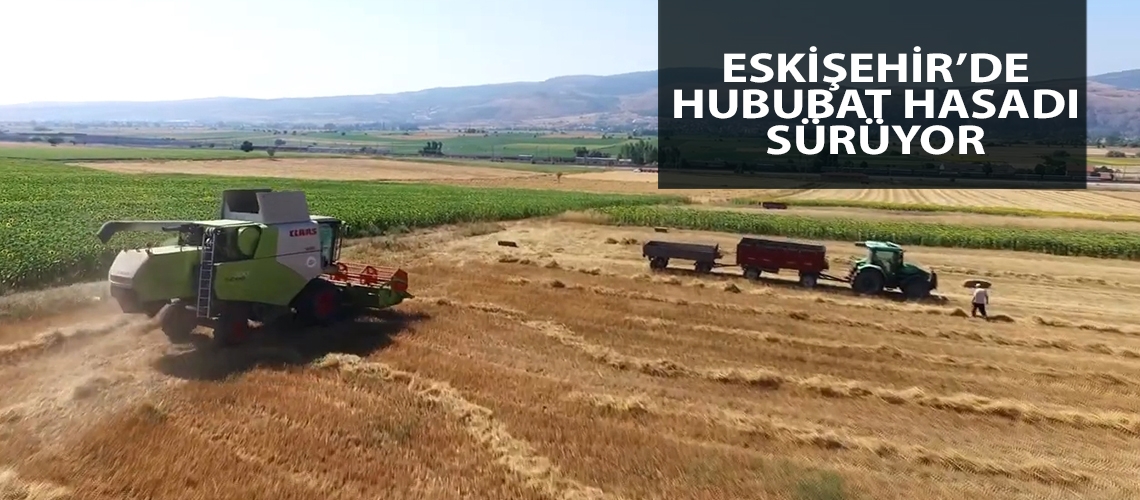 Eskişehir’de hububat hasadı sürüyor