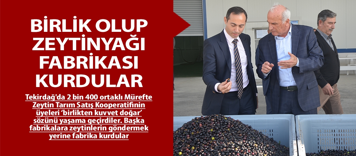 Birlik olup zeytinyağı fabrikası kurdular