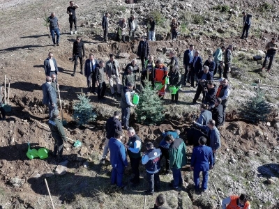 Erzurum'da 4 bin 60 dönümde 122 bin ağaç dikildi