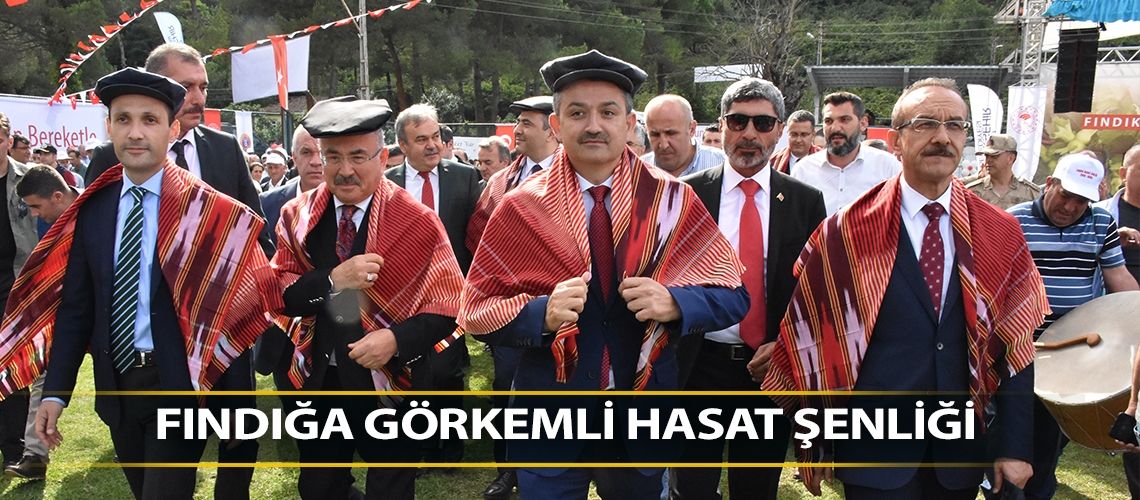 Fındığa görkemli hasat şenliği