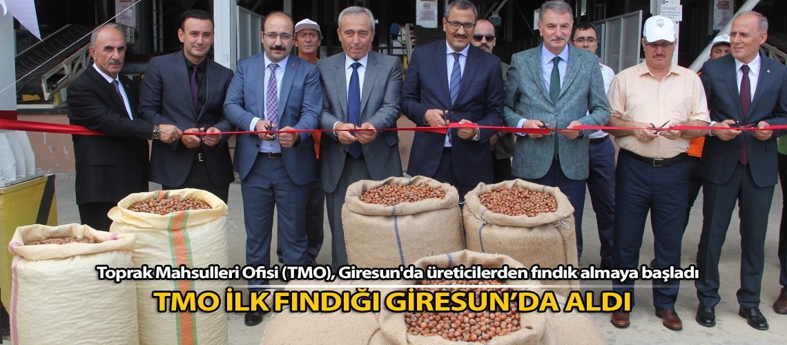 TMO ilk fındığı Giresun’da aldı