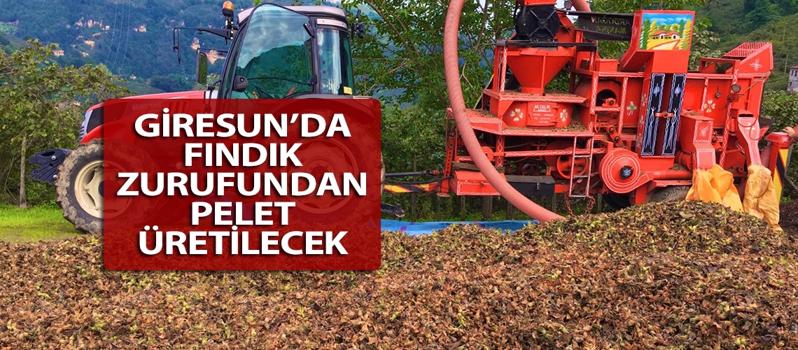 Giresun’da fındık zurufundan pelet üretİlecek