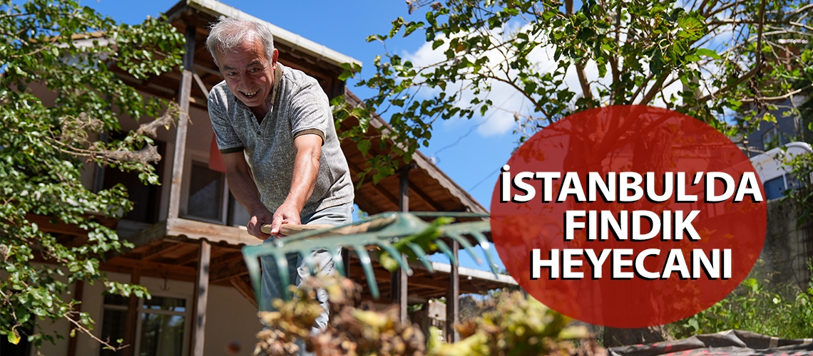 İstanbul’da fındık heyecanı