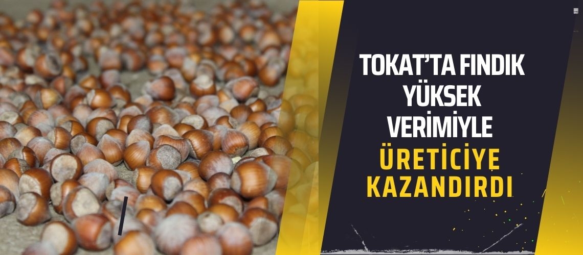 Tokat’ta fındık yüksek verimiyle üreticiye kazandırdı