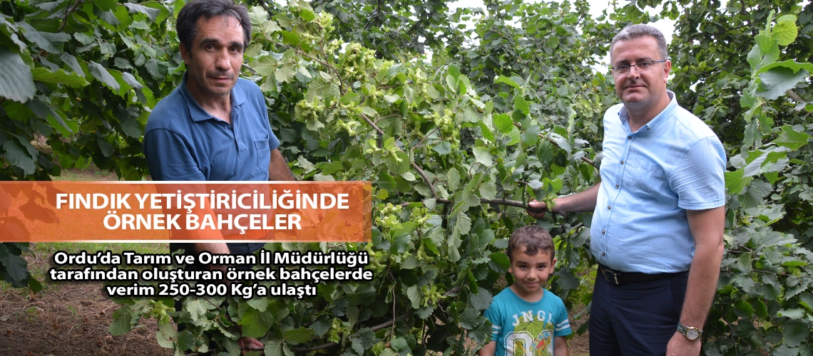 Fındık Yetiştiriciliğinde Örnek Bahçeler