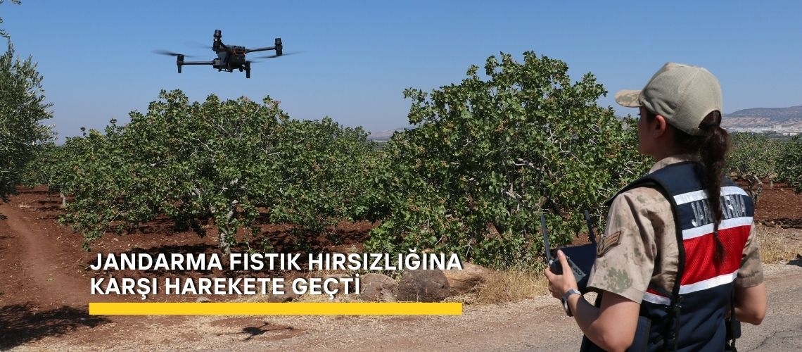 Jandarma fıstık hırsızlığına karşı harekete geçti