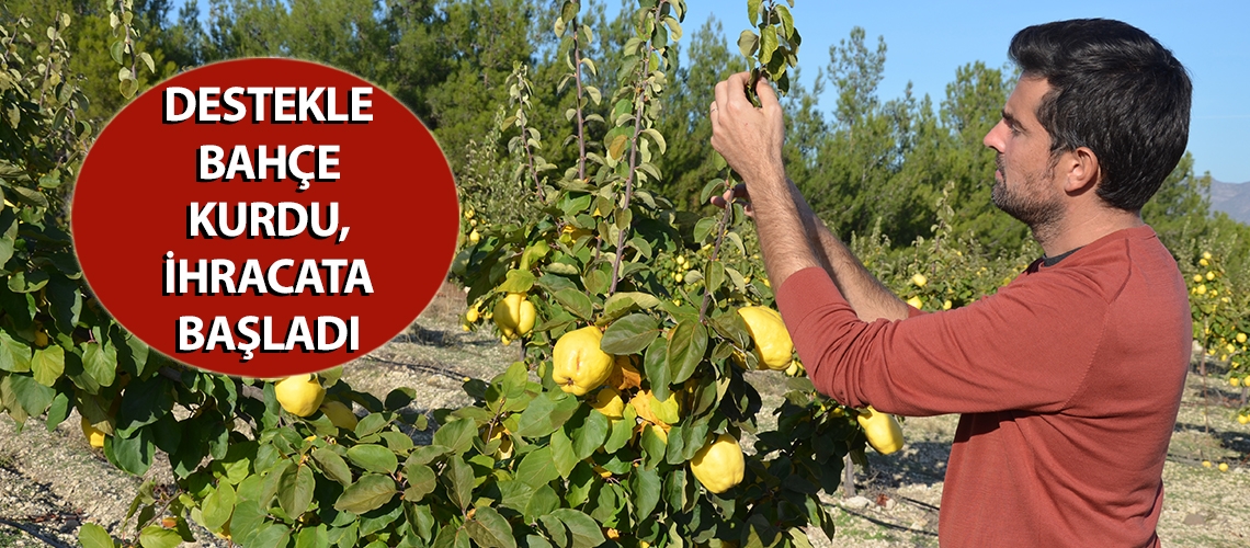 Destekle bahçe kurdu, ihracata başladı