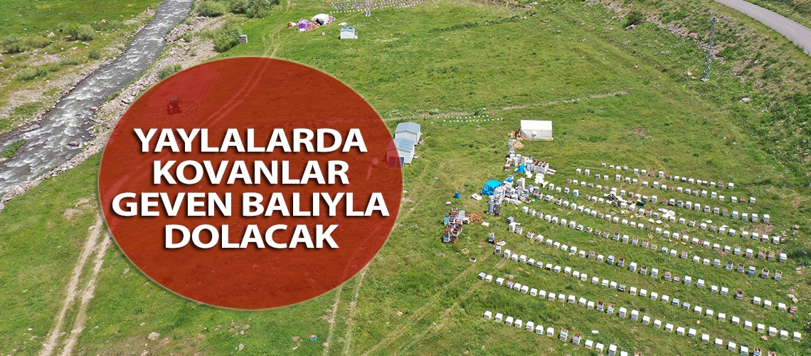 Yaylalarda kovanlar geven balıyla dolacak