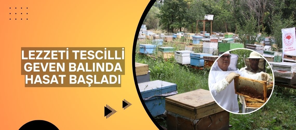 Lezzeti tescilli geven balında hasat başladı