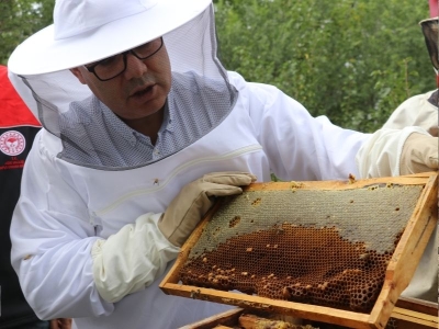 Lezzeti tescilli geven balında hasat başladı