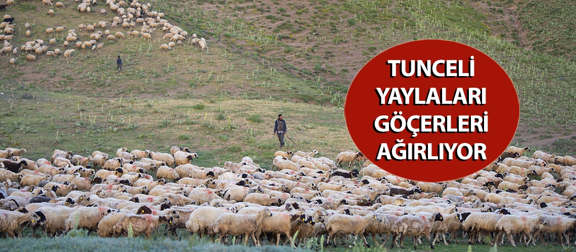 Tunceli yaylaları göçerleri ağırlıyor