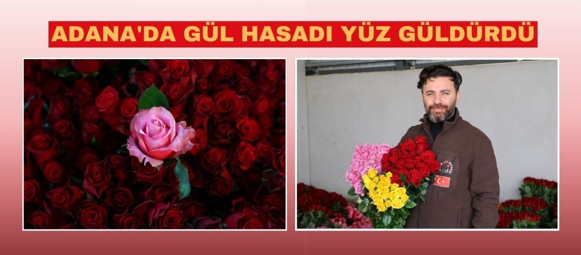 Adana'da gül hasadı yüz güldürdü