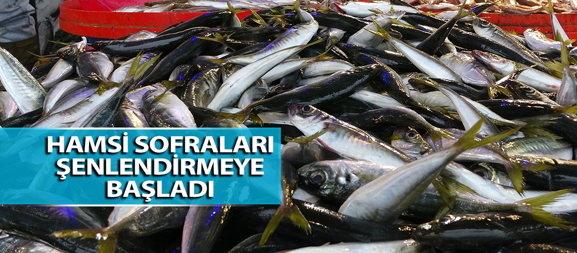 Hamsi sofraları şenlendirmeye başladı