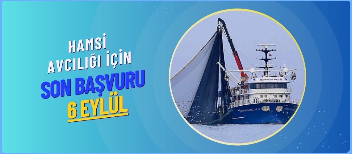 Hamsi avcılığı için son başvuru 6 Eylül