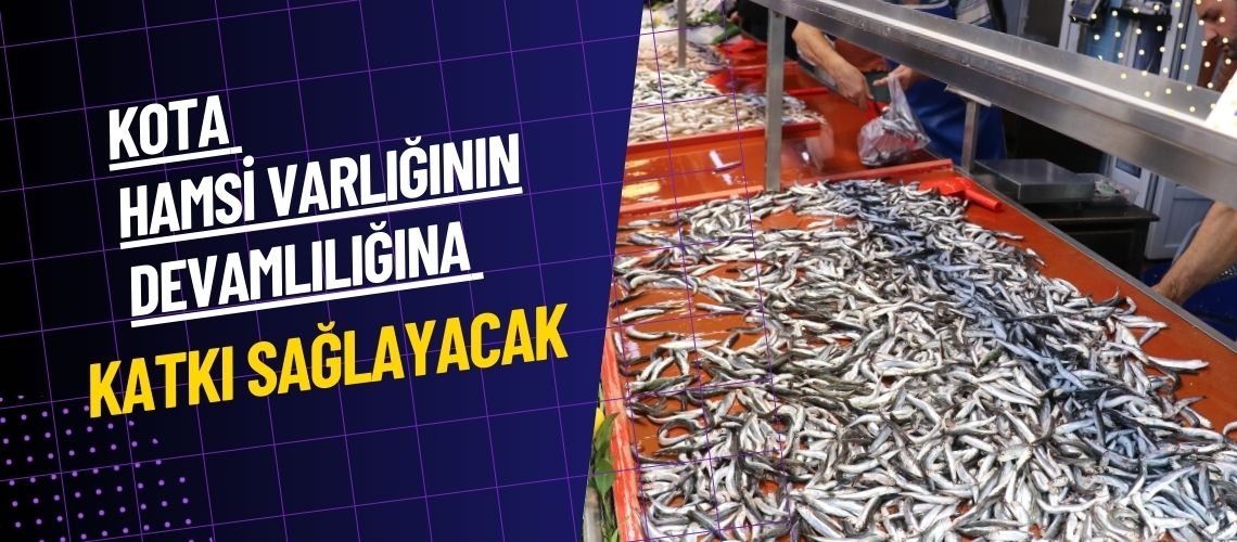 Kota hamsi varlığının devamlılığına katkı sağlayacak