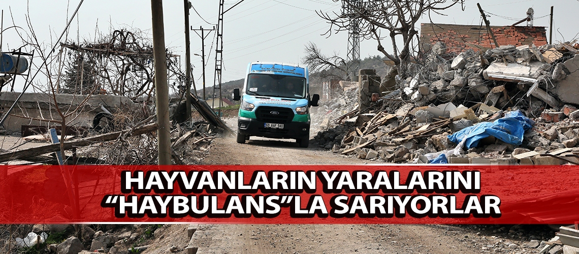 Hayvanların yaralarını “Haybulans”la sarıyorlar