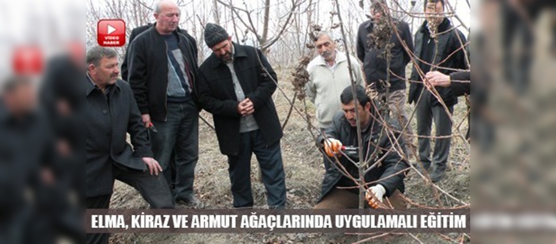 Erzincanda budama sezonu başladı