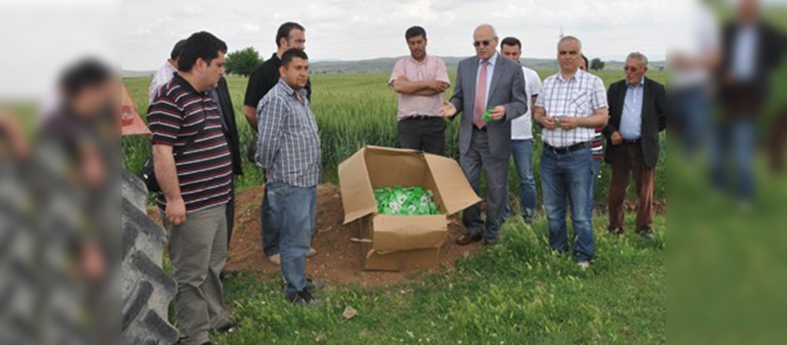 Kahramanmaraşta süneyle biyolojik mücadele