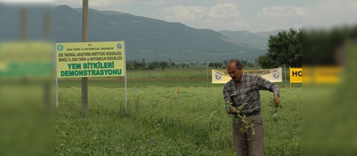 Acıpayamda Tarla Günü 