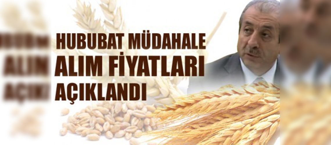 Hububat Müdahale Alım Fiyatları Açıklandı!