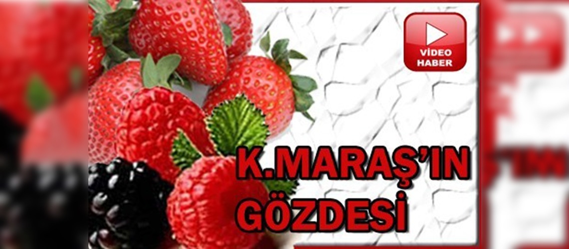 Böğürtlen ve çilek Kahramanmaraşın gözdesi