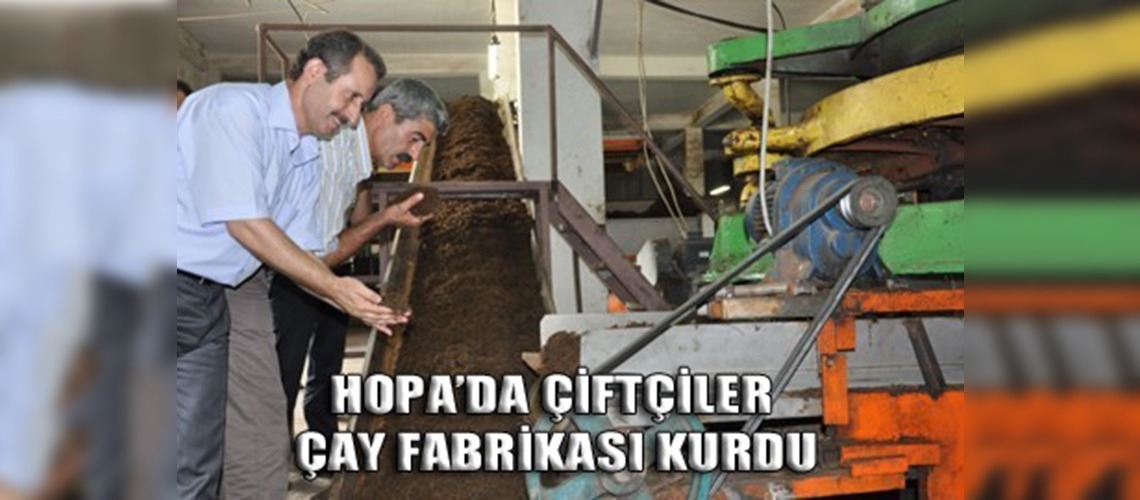 Hopada örnek çay fabrikası