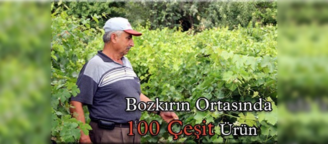 Bozkırın ortasında 100 çeşit ürün yetiştirdi