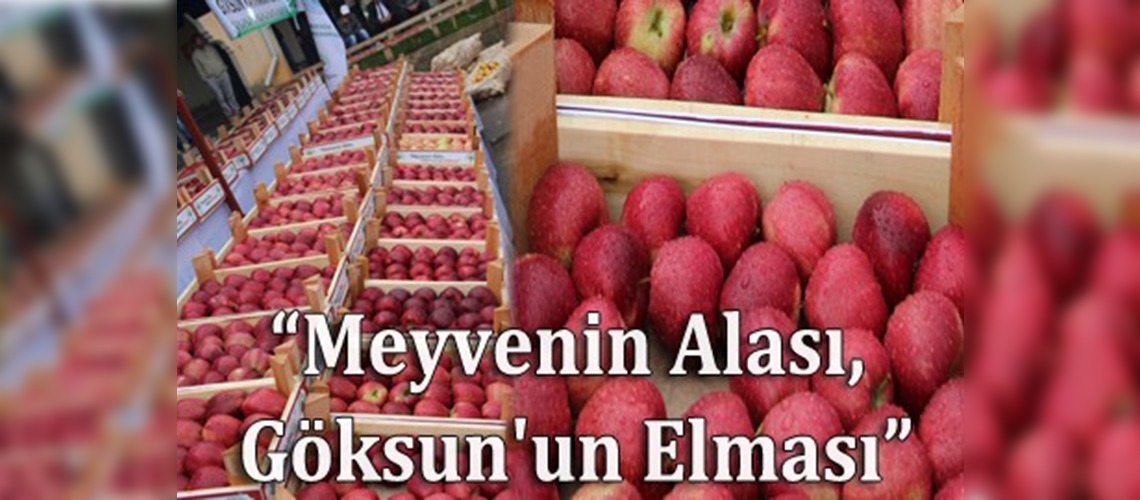 1. Göksun Elma Festivali