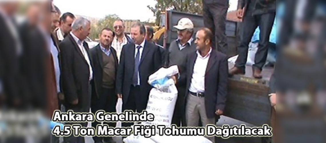 Yetiştiricilere Kaba Yem Tohumluğu Desteği