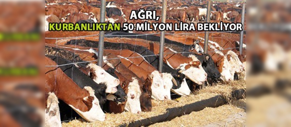 Ağrı, kurbanlıktan 50 milyon lira gelir bekliyor