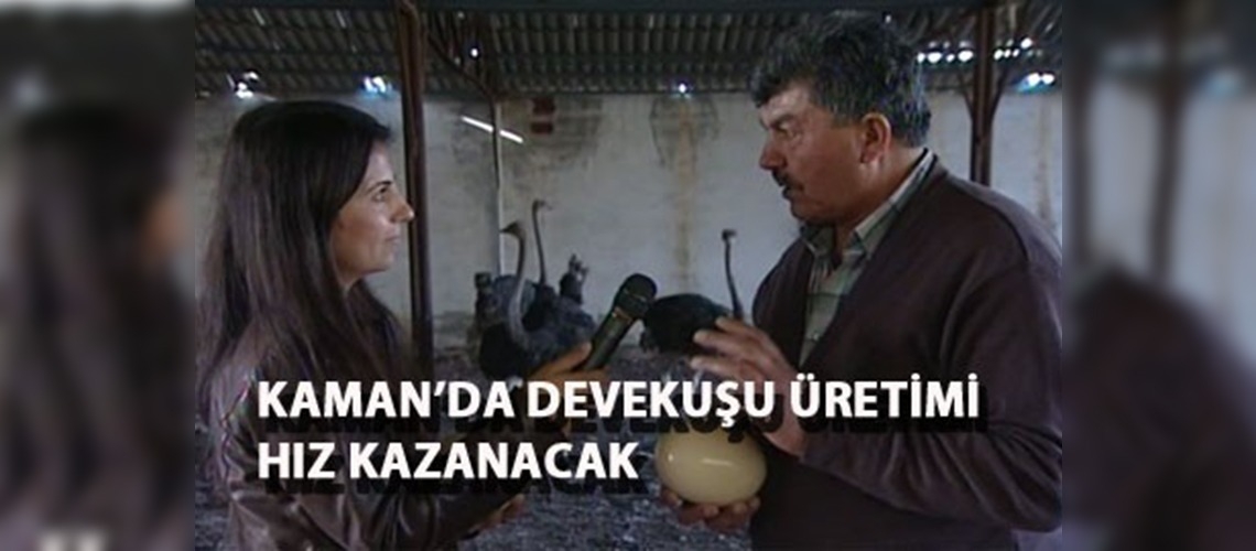 Kamanda devekuşu üretimi hız kazanacak