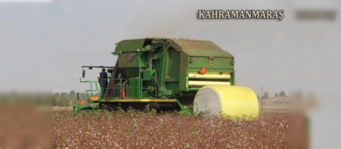 Kahramanmaraşta makineli pamuk hasadı başladı