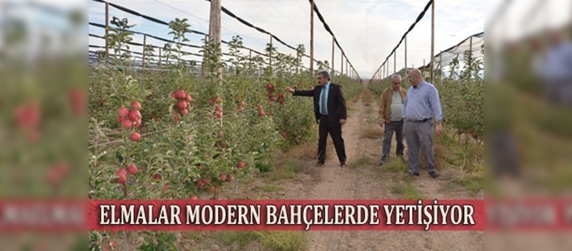 Modern bahçelerle fidan sayısı 6 milyona ulaştı