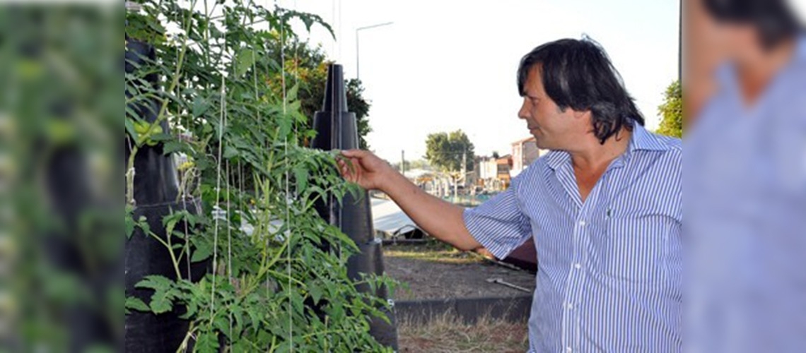 Sebze pınarı çiftçiye bire on kazandıracak