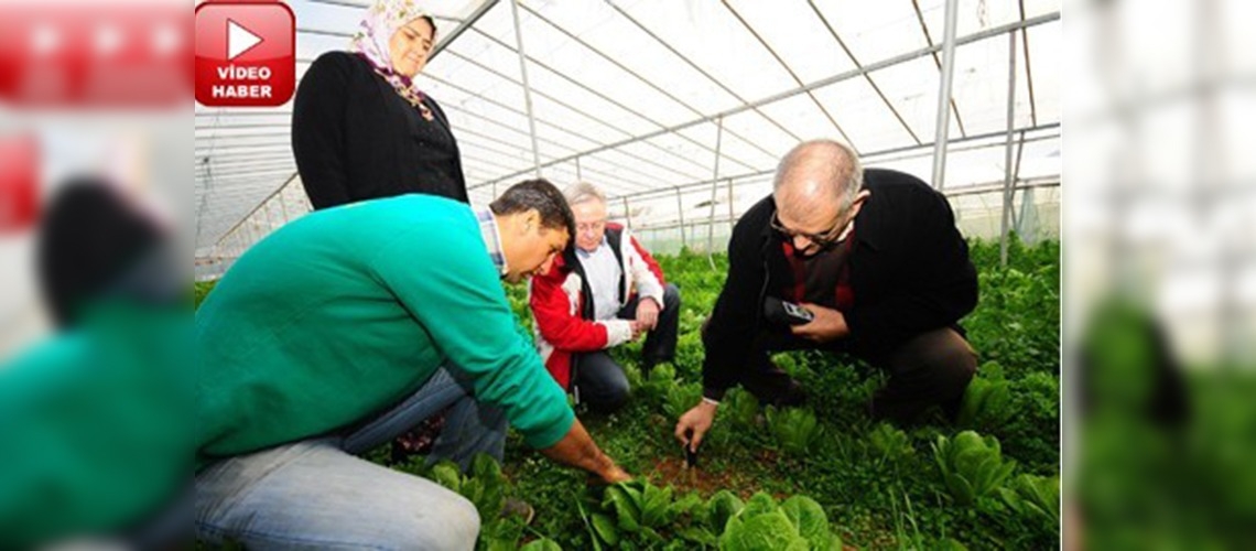 Akıllı sulama için düğmeye basıldı