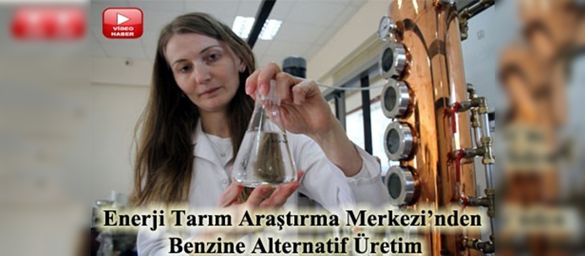 Benzine alternatif biyoetanal üretildi