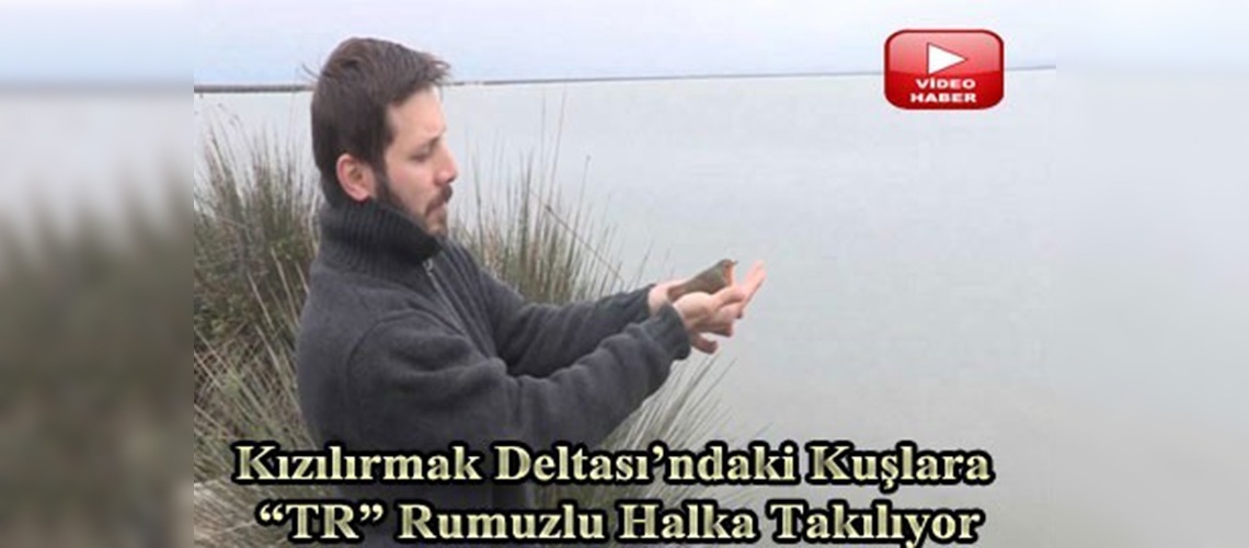 76 bin kuş TR rumuzu aldı