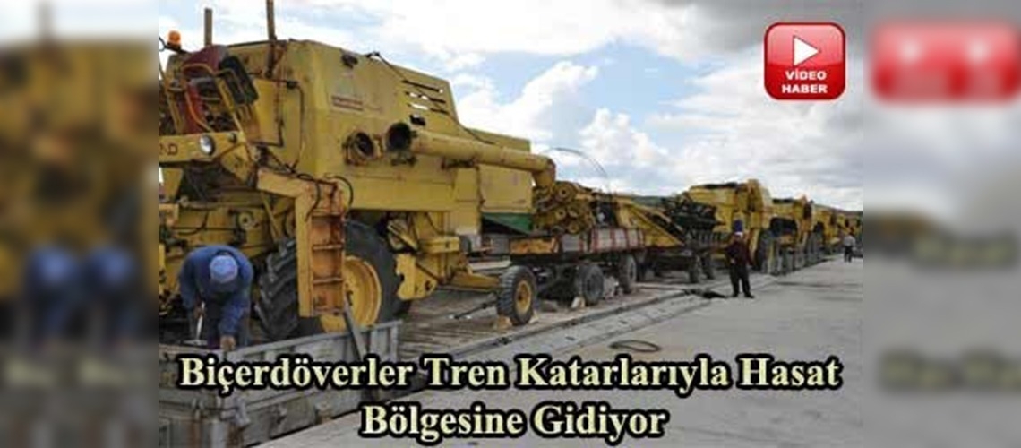 Biçerdöverler hasat için yolda