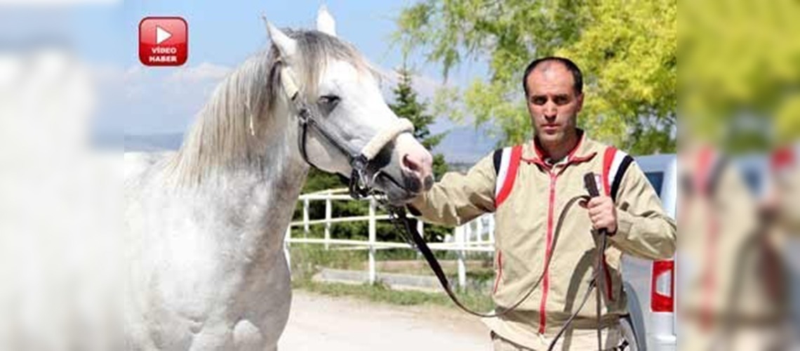 Eskişehirin efsane yarış atı Turbonun  tayları tescilleniyor