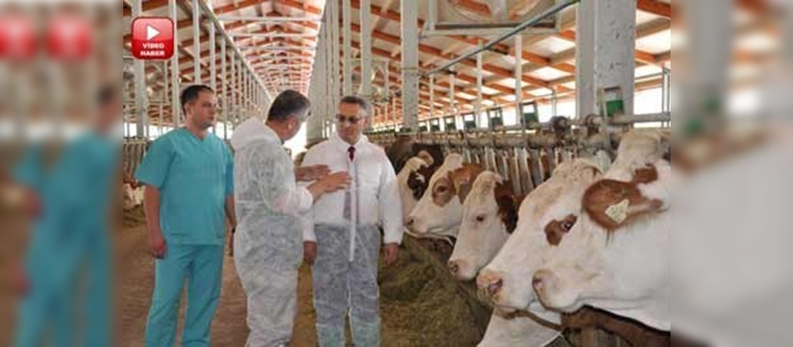 Manisada ari hayvancılık işletmelerine ziyaret