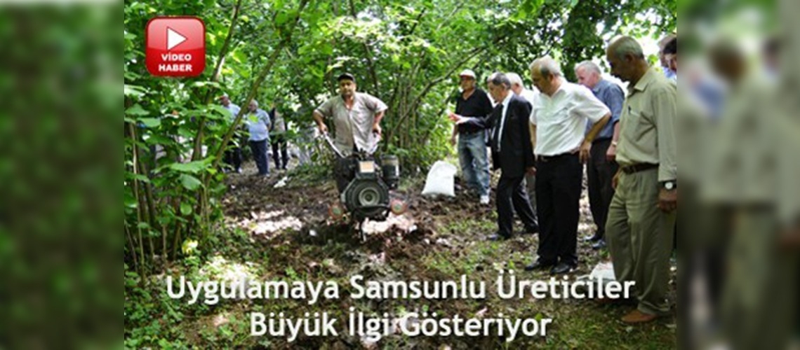 Termede fındık zurufu kompostosu uygulaması