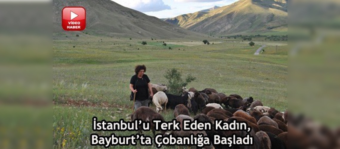 İstanbuldan Bayburta uzanan çobanlık öyküsü 