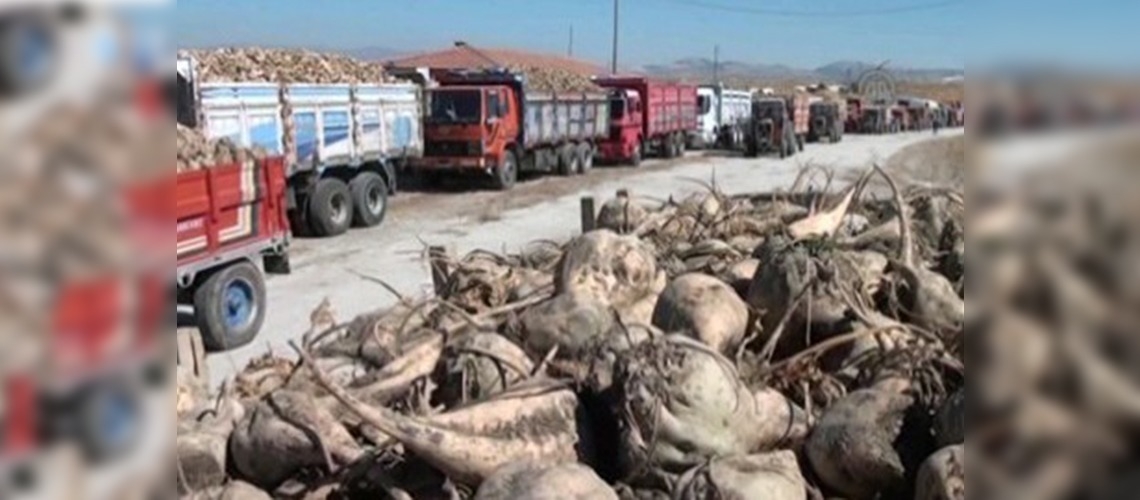 Çorum Şeker'de hedef, 88 bin ton üretim