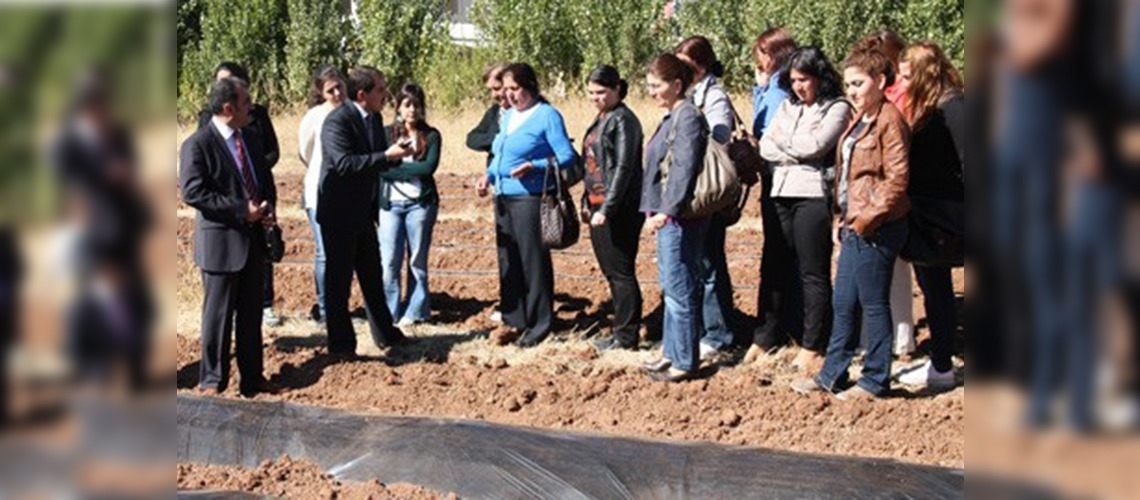 Tuncelide çilek yetiştiriciliği eğitimleri başladı