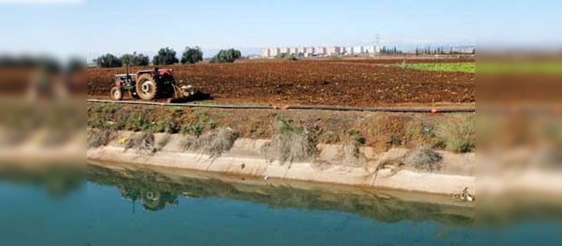 Çukurovada buğday üreticisinin kuraklık endişesi